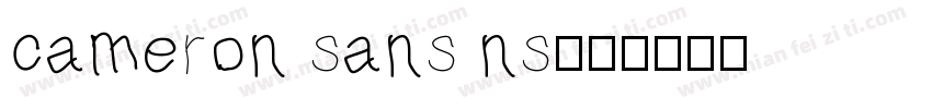 cameron sans ns字体转换